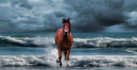 Wallpaper horse, run, beach, sea waves desktop wallpaper, hd image ...