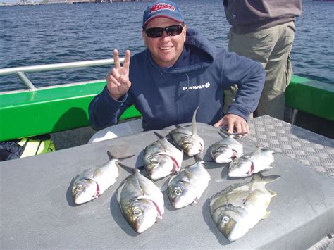 Scotty Fishing Life: Botany Bay Fishing Report