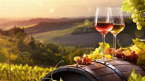 How Italian Wine Differs By Geographical Region