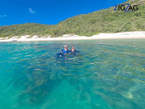 Inspiring 1 Day Airlie Beach Snorkeling Tour With ZigZag