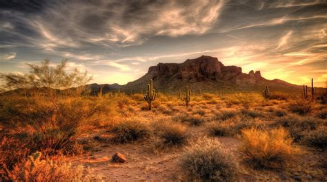 Desert Landscape With Cactus And Mountains With Sunset Background ...