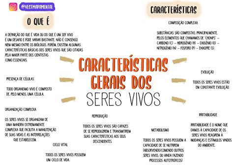 Mapa Mental Caracteristicas Dos Seres Vivos - ENSINO