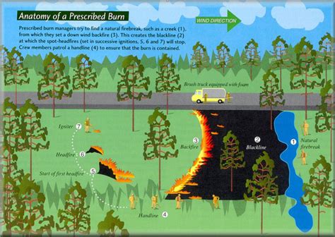 Anatomy of a prescribed fire - Wildfire Today