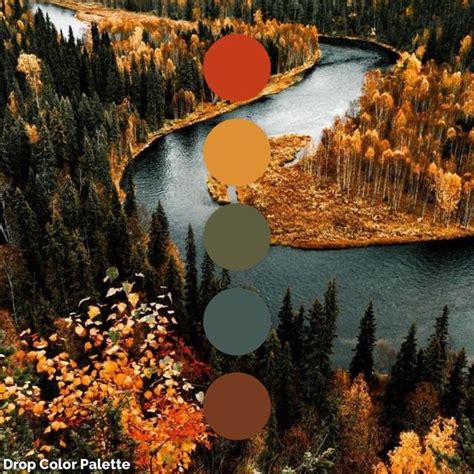 Fall color palette in 2024 | Fall color palette, House color palettes ...