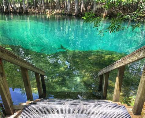 Cool Manatee Springs State Park Caves in Florida - Flavorverse