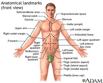 Abdominal mass Information | Mount Sinai - New York