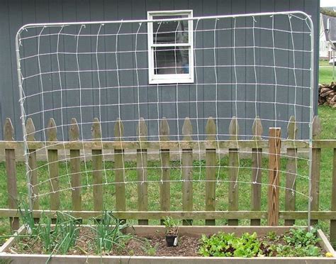 Trellis Netting How To – Easy to Build and Great For Vining Plants | Trellis netting, Diy ...