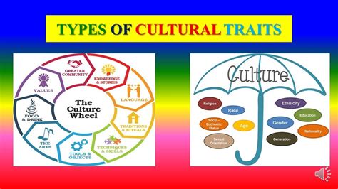 TYPES OF CULTURAL TRAITS - Sociology - YouTube