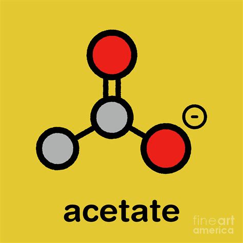 Acetate Anion Chemical Structure Photograph by Molekuul/science Photo ...