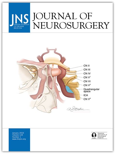 Outcome after Hunt and Hess Grade V subarachnoid hemorrhage: a comparison of pre-coiling era ...