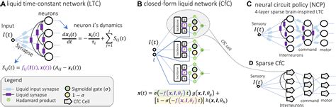 Robust flight navigation out of distribution with liquid neural ...