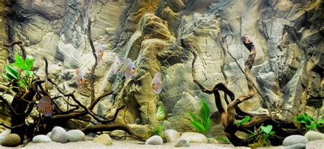 Aquarium Background 3D Poster – Coretan