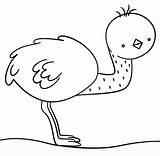 Easy Emu Coloring Page  Free Printable Pages For Kids sketch template