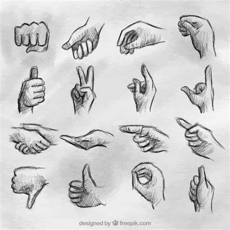 Set of sketches of sign language Vector | Free Download