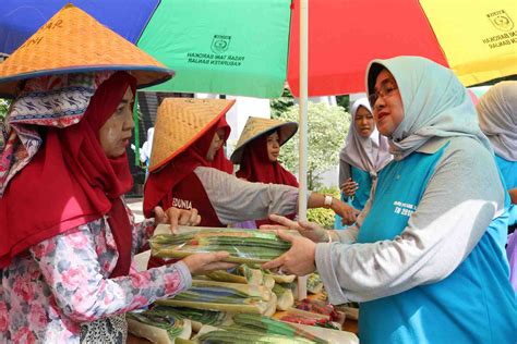 InfoPublik - SAYUR ORGANIK