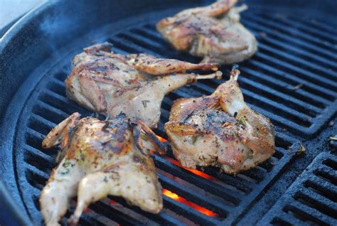 10 Best Grilled Quail Recipes