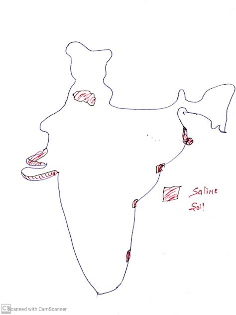 Saline Soils| Classification of Indian Soils | UP-PCS | UPSC| Physical ...