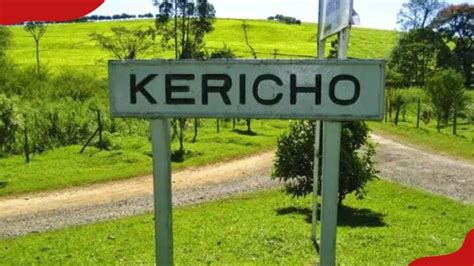 Kericho sub-counties: Get to know all the wards and population too - Tuko.co.ke