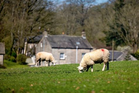 In pictures - serene Slaidburn in the heart of Trough of Bowland ...