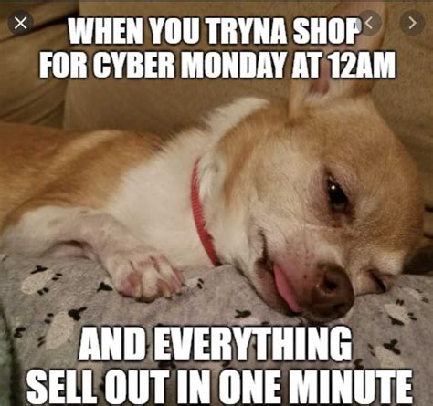 18 Cyber Monday Animal Memes Because They Want In On The Action