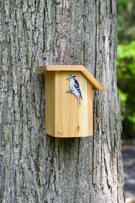 Downy Woodpecker Cedar Bird House - Etsy