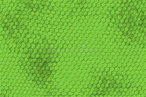 Lizard Skin Pattern stock photo. Image of green, pattern - 26999702