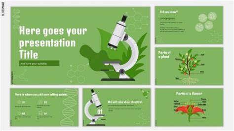 Green biology | Free PowerPoint template & Google Slides theme