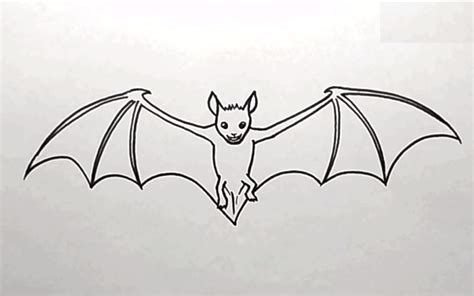 How To Draw A Rat Bat - Draw easy