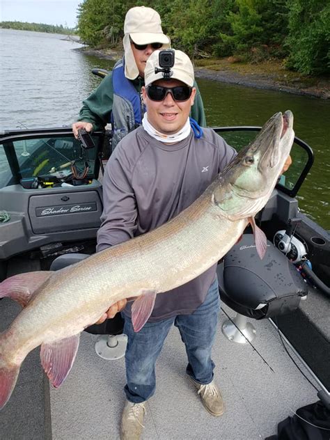 48 inch Lake of the Woods muskie caught on a Lunker Bucktail | Pike fishing, Lake, Fish