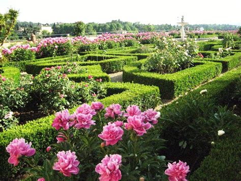 Rose garden, Boboli gardens, Florence, Italy - The Culture Map