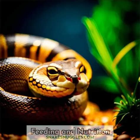 Mastering Ball Python Pet Care: A Complete Guide