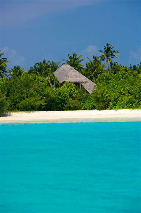 Island Hideaway at Dhonakulhi Maldives, Spa Resort & Marina ...