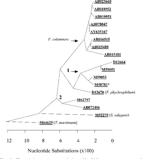 Figure 3 from Identification of Flavobacterium columnare by a species-specific polymerase chain ...