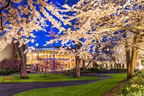 Oldest Universities In The U.S. - Historic American Colleges