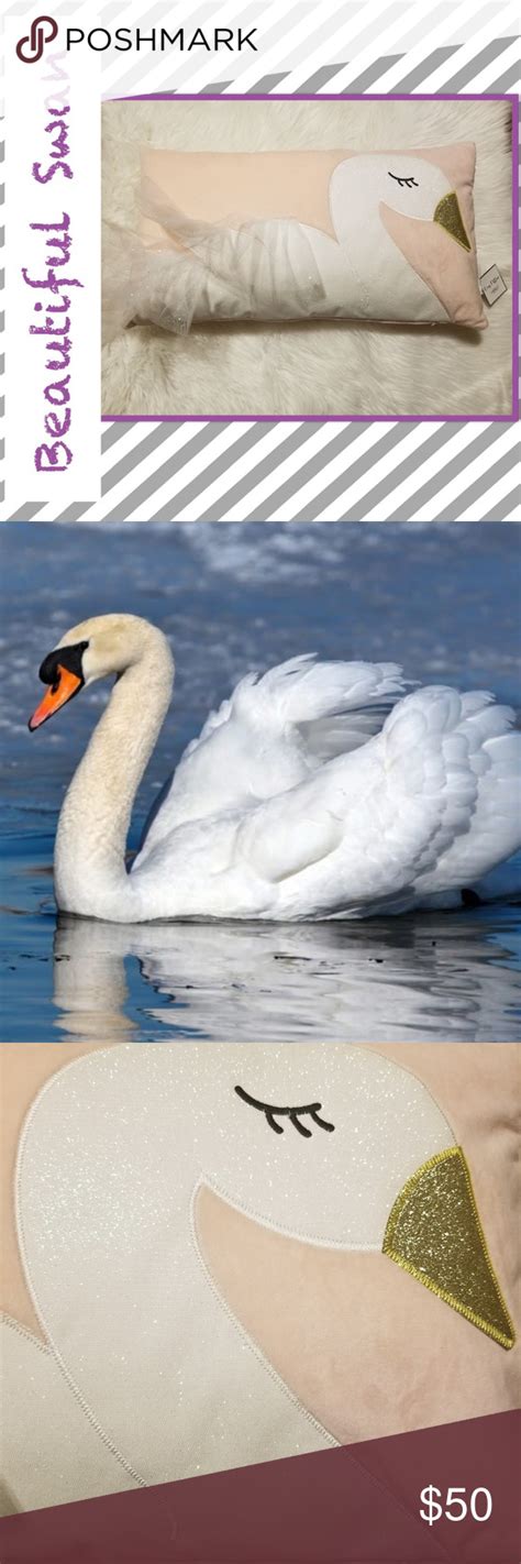 🆕 Beautiful Swan Pillow | Beautiful swan, Beautiful, Nordstrom bedding