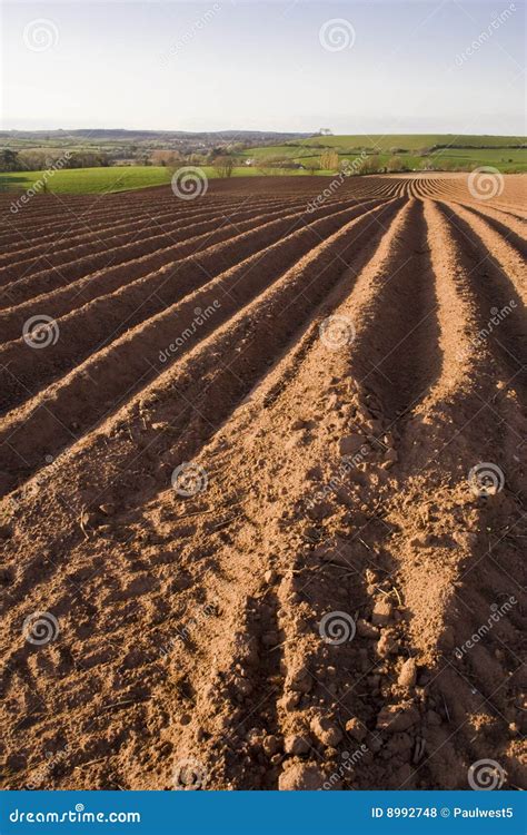 Ploughed field stock photo. Image of landscape, soil, agriculture - 8992748