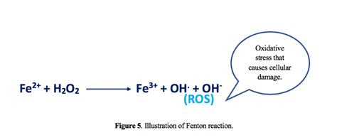 Illustration of Fenton reaction. | Download Scientific Diagram