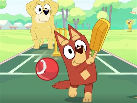 Aussie cartoon Bluey hits a six with touching cricket episode | KidsNews