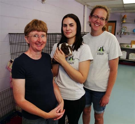 Brockton animal shelter grapples with guinea pig surplus