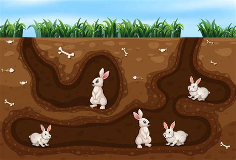 Rabbit Family Living in the Hole 417926 Vector Art at Vecteezy