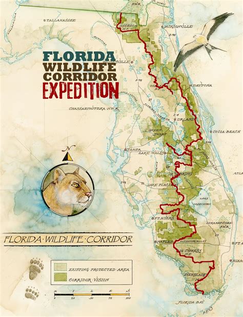 Old Florida: Catching up with the Florida Wildlife Corridor Expedition