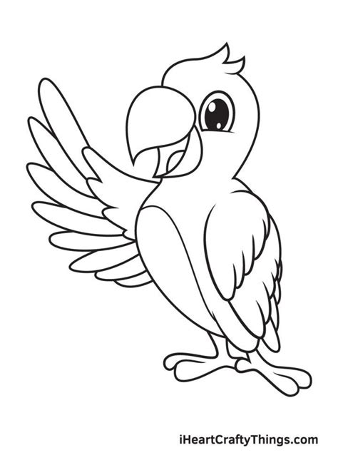 25 Easy Parrot Drawing Ideas - How to Draw a Parrot