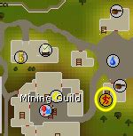 Osrs How To Get The Giant Squirrel Pet Best Methods Fandomspot | Possumking