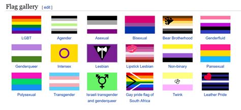 Looking up some of the LGBTQ+ Flags to learn more about the symbols/tags. The lesbian flag ...