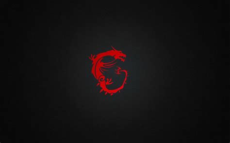 MSI Dragon Wallpapers - Top Free MSI Dragon Backgrounds - WallpaperAccess