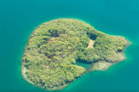 Airbnb is Now Renting Out Private Islands and Luxury Jungle Treehouses