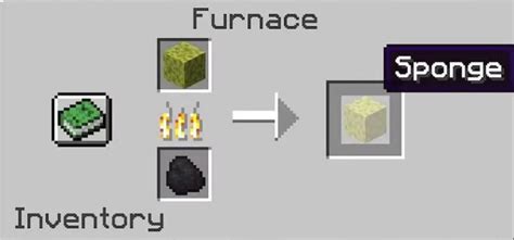 How To Dry Sponge Minecraft - Brainy Breeze