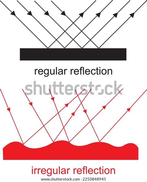 Regular Irregular Reflection Vector File Stock Vector (Royalty Free ...