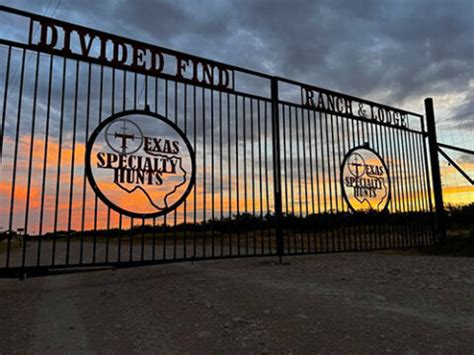 Divided Find Texas Rodeo | Beatrice Bradley