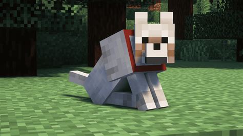 How to Tame a Wolf in Minecraft - The Lost Gamer